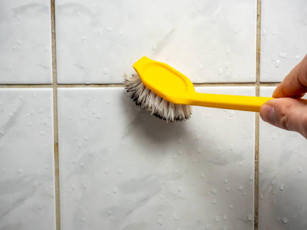 Best Professional Mold Removal  in Evergreen, MT