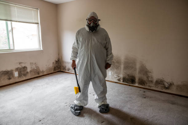 Best Mold Inspection  in Evergreen, MT